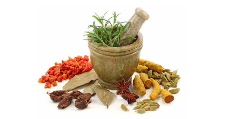 Benefits of the herbal supplements